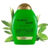 Mint Shampoo – 385 ml